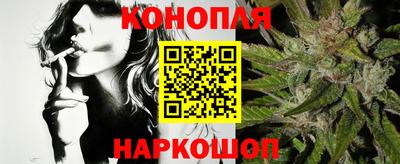 гидра Моздок