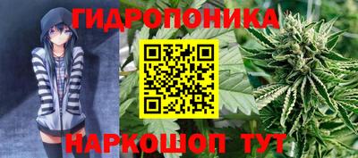 spice Можга