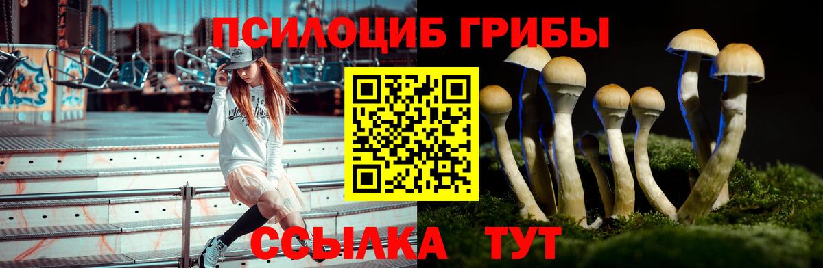 Галлюциногенные грибы MAGIC MUSHROOMS  Вход с VPN  Воткинск 