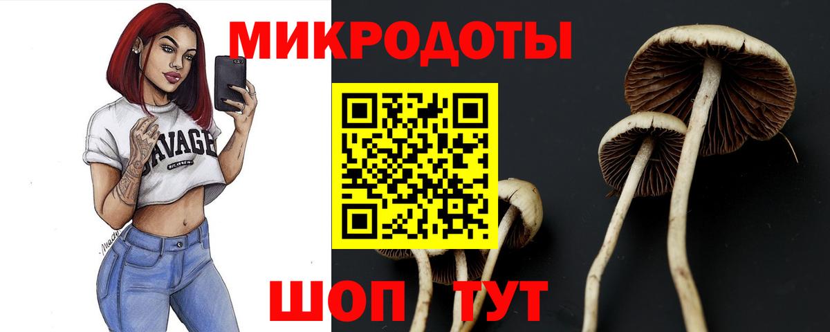 Псилоцибиновые грибы Magic Shrooms Воткинск